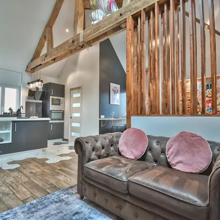 * Le Loft Des Mysteres * Appartement Maintenon Buitenkant foto