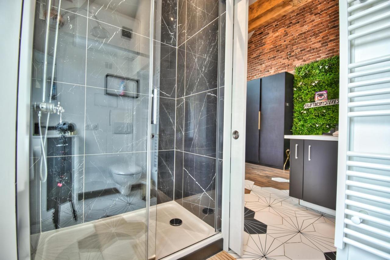Apartment * Le Loft Des Mysteres * *