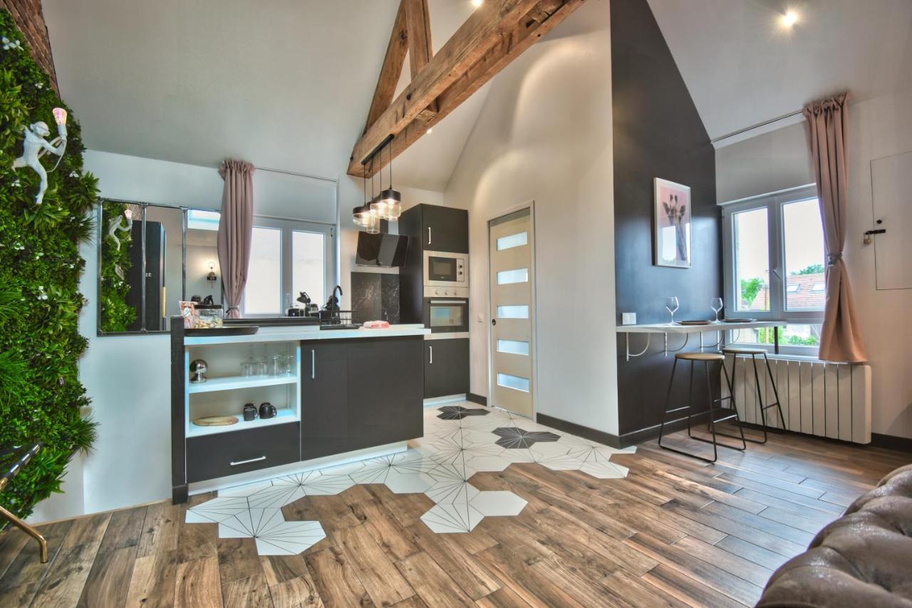 Apartment * Le Loft Des Mysteres *